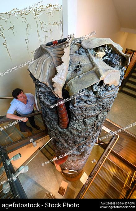 PRODUCTION - 12 July 2021, Saxony, Görlitz: An employee at the Senckenberg Natural History Museum in Görlitz looks at a soil column on display in the stairwell