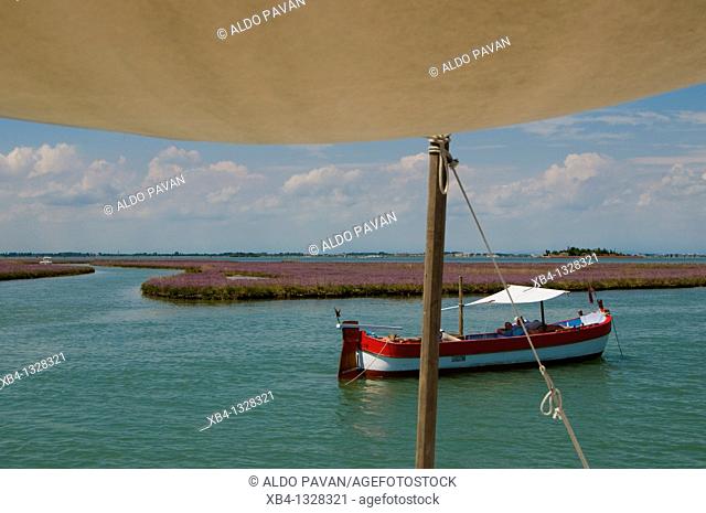 Italy, Venice, cruising the lagune with Eolo, a traditional Venetian fishing boat called 'bragozzo'