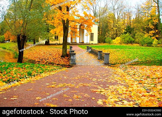 Morning walk in Catherine Park in Tsarskoye Selo, autumn landscape and concert hall