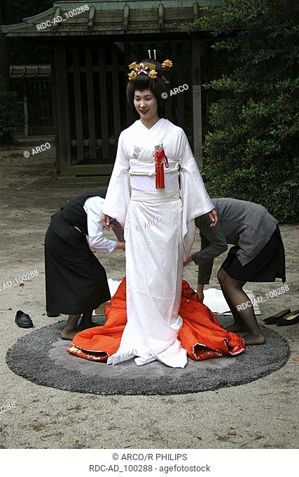 Young woman in traditional japanese wedding dress Meijin Shrine Tokyo Japan Junge Frau in traditionellem japanischen Hochzeitskleid Meijin-Schrein Tokio Japan...