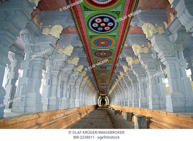 Famous column-supported corridor of Ramanathaswami Temple, Rameshwaram or Ramesvaram, Tamil Nadu, South India, India, Asia