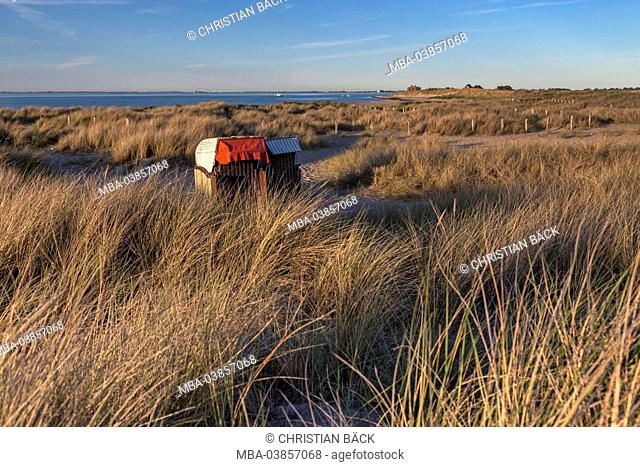 Two beach chairs in the dunes on the Graswarder, Heiligenhafen, Holstein, Ostholstein, Schleswig - Holstein, Germany