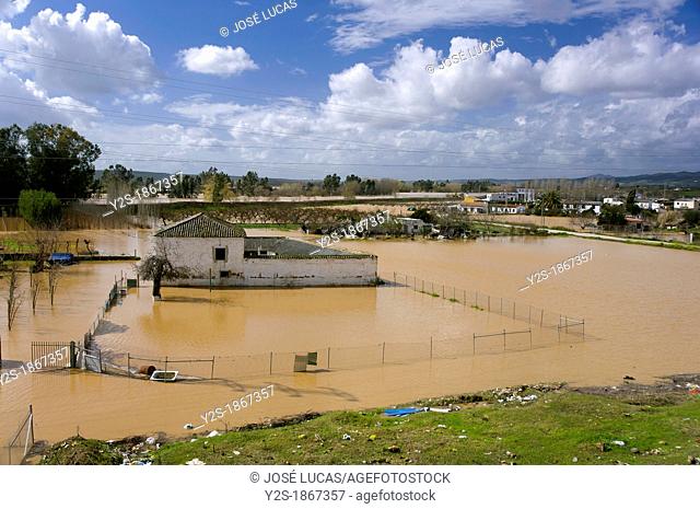 Guadalquivir river floods, Andujar, Jaen-province, Spain