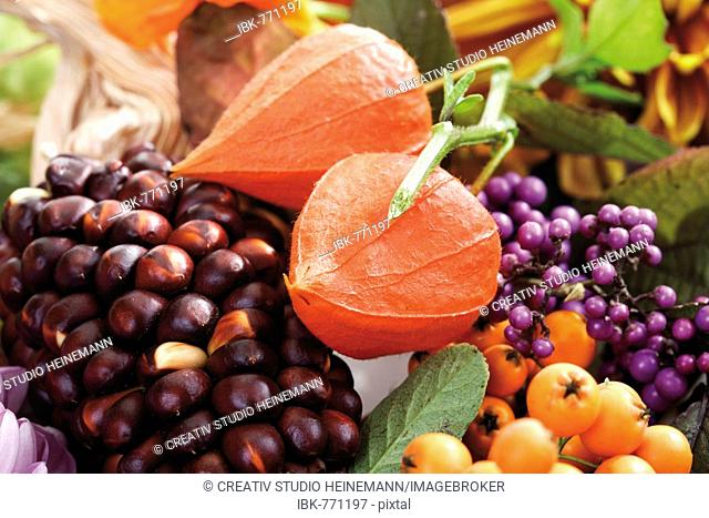 Autumn decoration: firethorn berries, beautyberries and Chinese lanterns