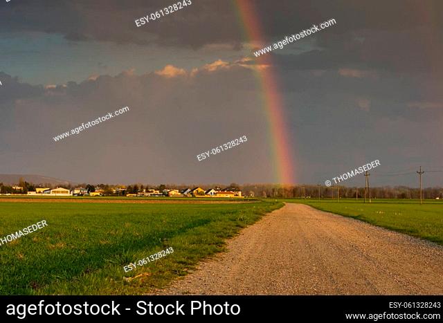 dirt road between green fields and a rainbow at the end in the spring