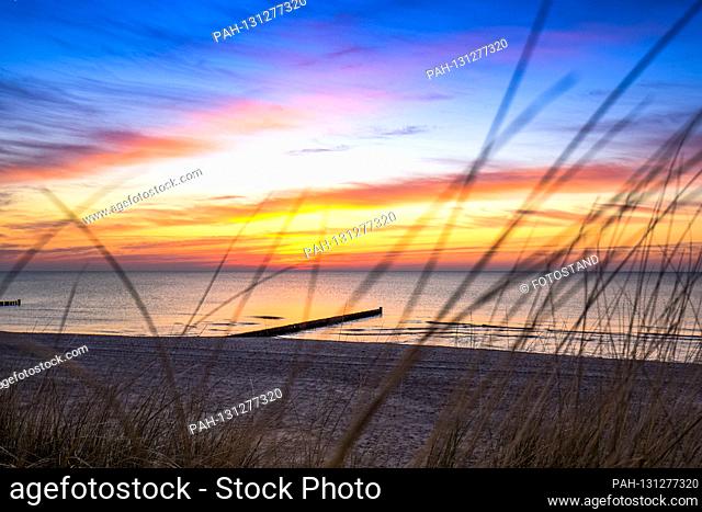 Dierhagen - Ost, Germany March 2020 Ostseestrand - March - 2020 sunset / Baltic Sea / sunset / groynes / beach / Dune / Duene | usage worldwide