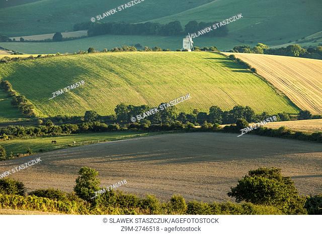 Late summer afternoon in South Downs National Park near Lewes, East Sussex, England