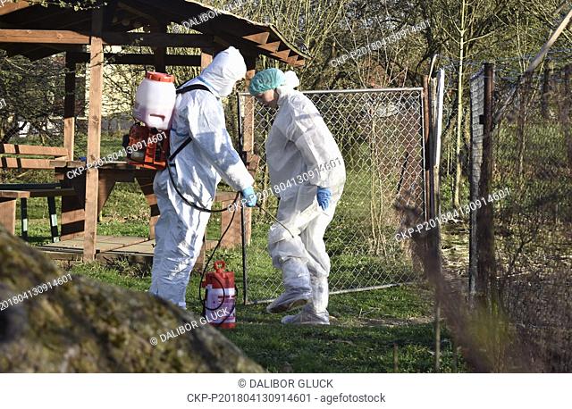 Newcastle disease has appeared in poultry in the Czech Republic after 20 years, vets will create a protective zone around the epicentre in Sanov in the Zlin...