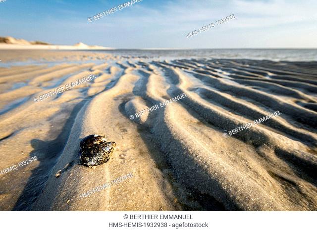 Germany, Schleswig-Holstein, Sylt in the Frisian Islands, Hornum and the south tip