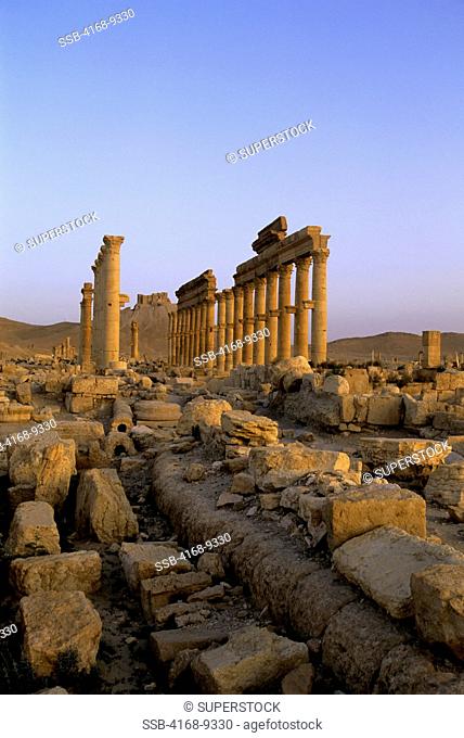 Syria, Palmyra, Ancient Roman City, Colonnaded Street And Castle Of Fakhr Ud-Din
