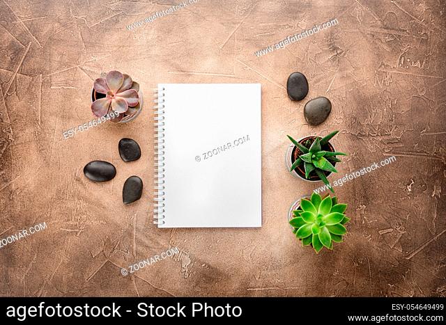 Empty note pad for notes, pens, zen stones and pots with succulents on the table. Top view with place for text