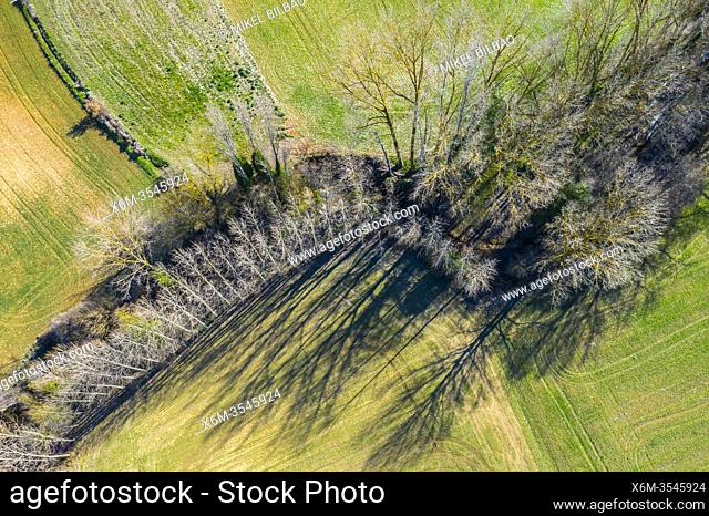 Cereal farm in a plain and riverbed with poplar trees. Santa Cruz de Campezo area. Alava, Basque Country, Spain, Europe