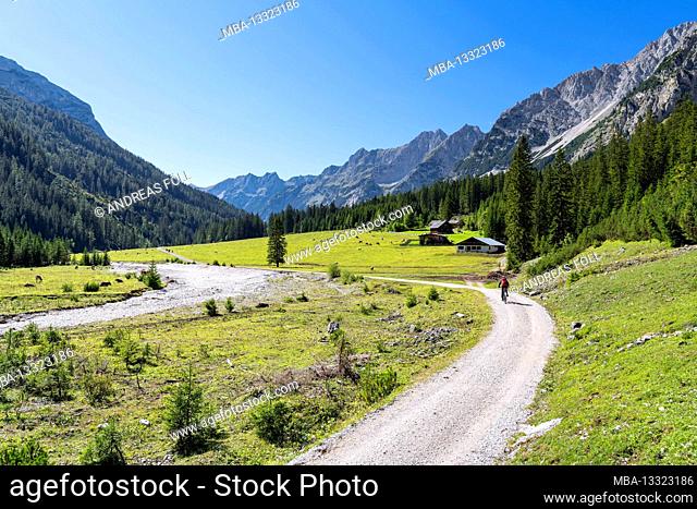 Cyclists on the move in the Karwendeltal near the Angeralm on a sunny summer day. Karwendel, Tyrol, Austria