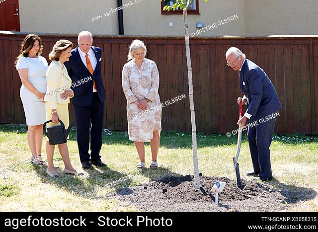 Swedens King Carl XVI Gustaf and Queen Silvia plant a walnut tree in Visby, Sweden, on June 14, 2023, during the royal visit to Gotland County to mark HM the...