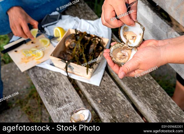 A close up view of two caucasian women shucking raw oysters and enjoying them with lemon