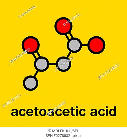 Ketone body molecule, illustration