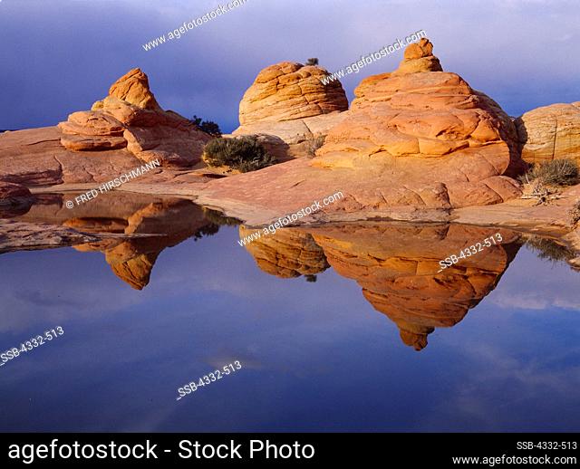 Navajo Sandstone beehives reflected in ephemeral slickrock pool, Colorado Plateau, Arizona