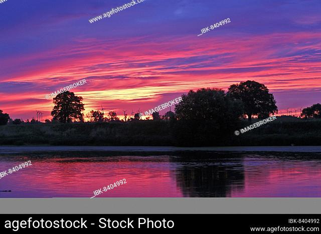 Light mood in the morning at an old watercourse in the Elbe floodplain, Middle Elbe Biosphere Reserve, Dessau-Roßlau, Saxony-Anhalt, Germany, Europe