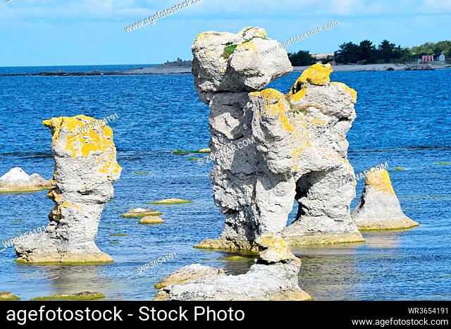 Gamla hamn in sweden on the island gotland in fall. Gamle hamn auf der Insel Farö auf Gotland in Schweden