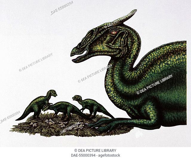 Palaeozoology - Cretaceous period - Dinosaurs - Saurolophus - Art work by Deborah Mansfield