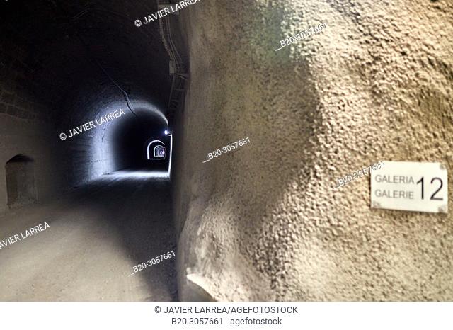 Somport Railway Tunnel, The Laboratorio Subterraneo de Canfranc (LSC) has been excavated in the rock 800 m deep under the Mount Tobazo in the Spanish side of...