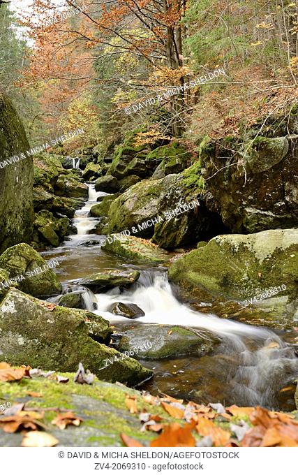 Landscape of a watercourse in autumn in the bavarian forest