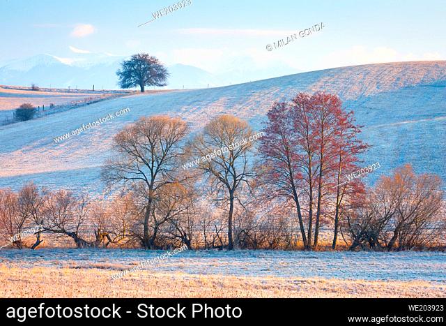Rural landscape of Turiec region in northern Slovakia