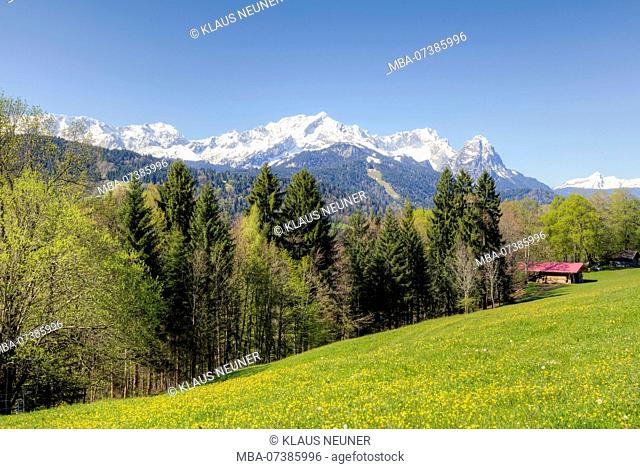 View from the Pfeifferalm to the Zugspitze with Alpspitze (2628m), Zugspitze (2962m) and Waxenstein (2277m), Garmisch-Partenkirchen, Upper Bavaria, Bavaria