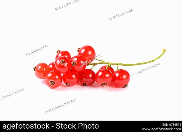The red currant isolated on white background