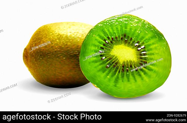 Vector illustration of a kiwi on a white background