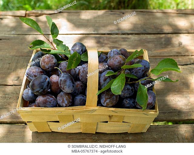 Basket with plums
