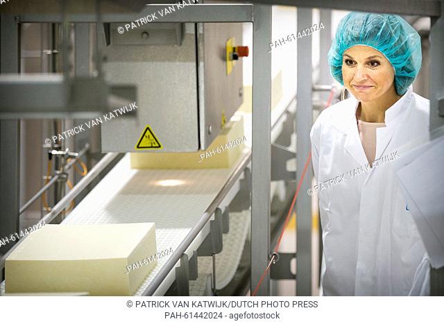 Queen Maxima of The Netherlands visits cheese factory FrieslandCampina and farm of family Stokman in Koudum, The Netherlands, 9 September 2015