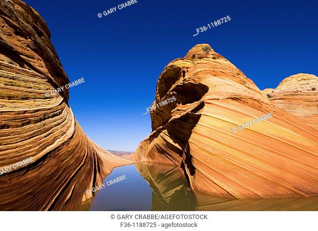 Seasonal desert pool of water below striated sandstone at The Wave, Coyote Buttes, Paria Canyon Vermilion Cliffs Wilderness, Arizona