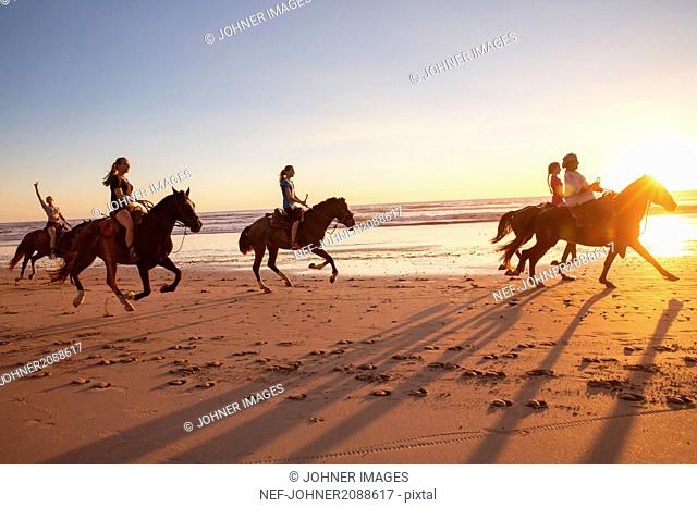 Group of people horseback riding on beach at sunset