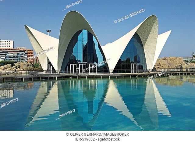 Oceanografic, City of Arts and Sciences, City of Valencia, Spain, Europe
