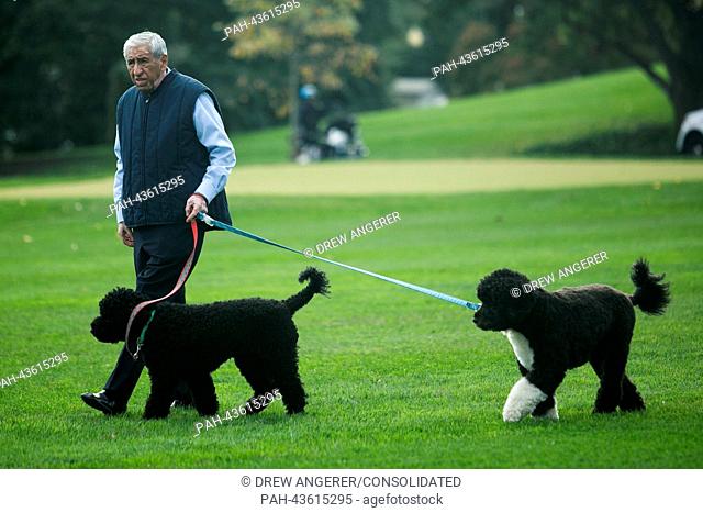 An unidentified White House staffer walks Bo and Sunny, the Obama family dogs, on the South Lawn of the White House, on October 24, 2013, in Washington, DC