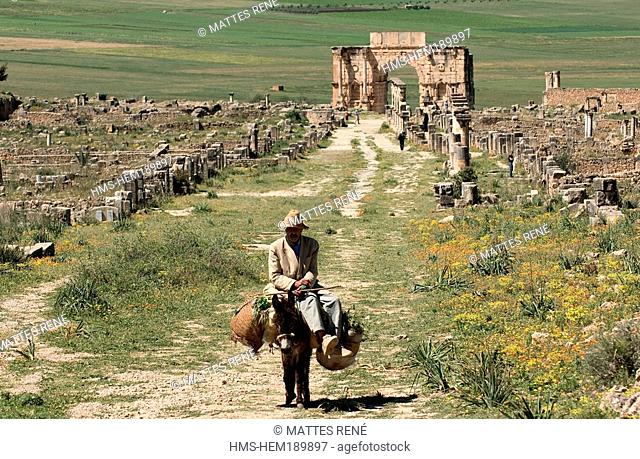 Morocco, Volubilis, Roman city founded in 40 BC listed as World Heritage by UNESCO, triumphal arch