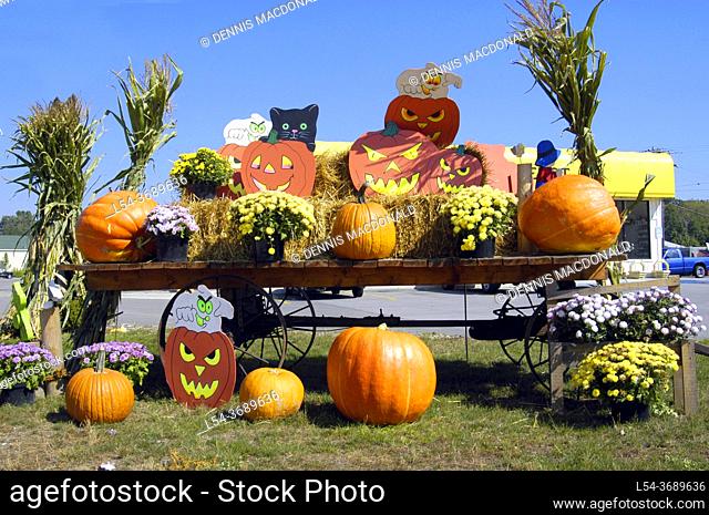 Michigan road side vegetable stand with pumpkins on display for halloween