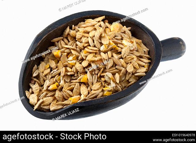 scoop of grain horse feed