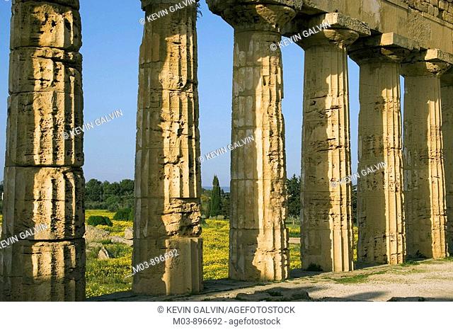Ancient Greek Temple Selinunte archaeological site Sicily Italy