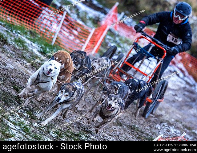 25 November 2023, Mecklenburg-Western Pomerania, Plate: Jürgen Stolz from the FSSC Franconia starts the German sled dog racing championships with his team of...