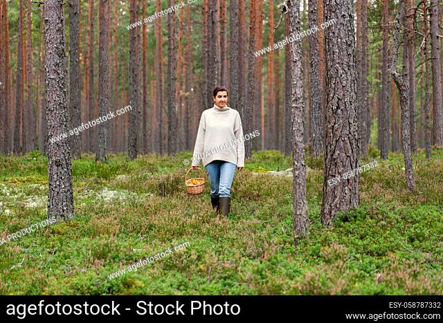 woman with basket picking mushrooms in forest