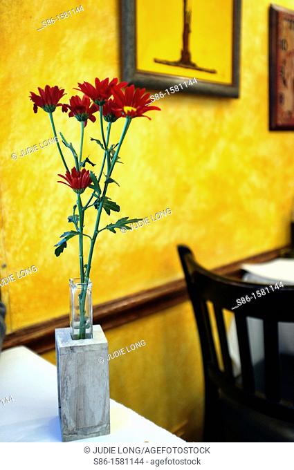 Bud Vase of Red Flowers on a Cafe Restaurant Table