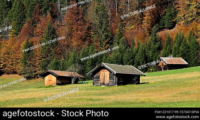 17 October 2022, Bavaria, Gerold: The trees in the mountain forest at Lake Gerold are colored in autumn. Photo: Angelika Warmuth/dpa