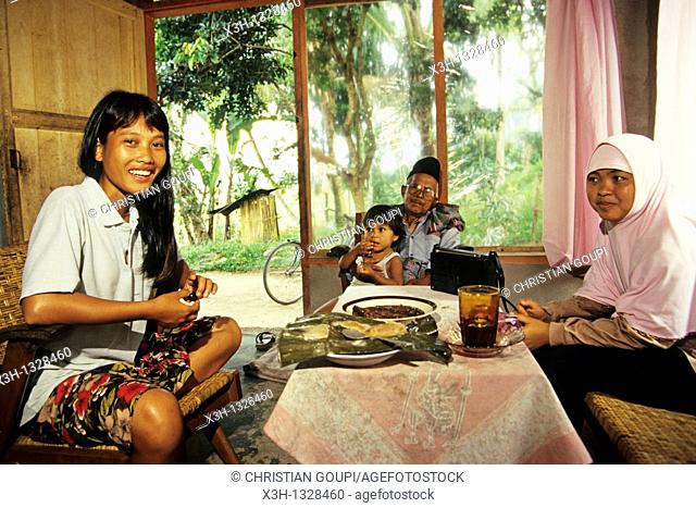 family scene, Sumatra island, Republic of Indonesia, Southeast Asia and Oceania