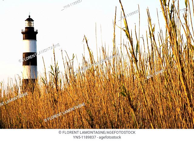 France, Poitou Charentes province, Departement of Charente Maritime 17, Ile d'Oléron   The lighthouse of Chassiron, the most famous one on the island where the...