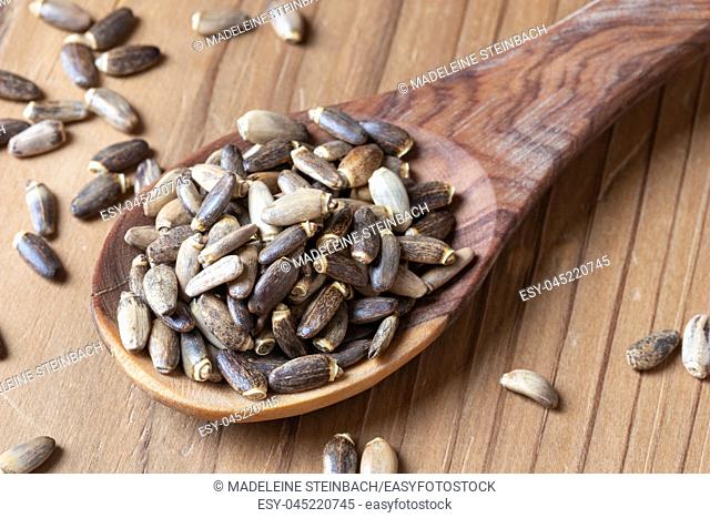 Milk thistle seeds on a wooden spoon