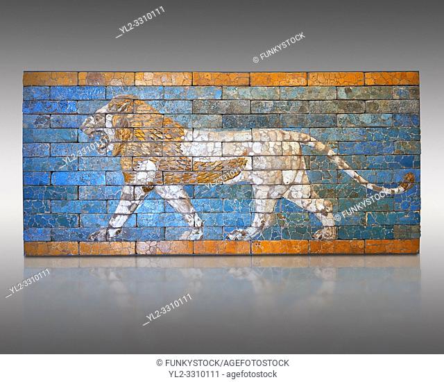 Coloured glazed terracotta brick panel depicting striding lions from Babylon (Iraq). Neo-Babylonian Period, reign of Nebuchadnezzar II 604-562 BC