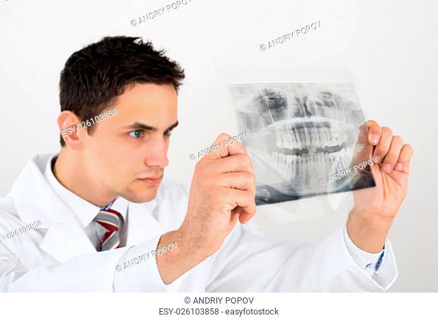 Young male dentist examining dental xray against white background