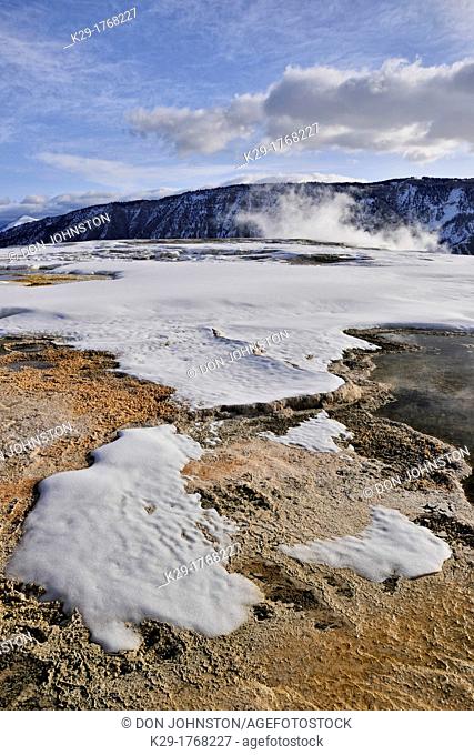 Steam and snow above Canary Spring, Yellowstone NP, Mammoth Hot Springs, Wyoming, USA